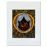 Norton Island Visions, boxed set of 15 prints