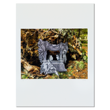 Norton Island Visions, boxed set of 15 prints